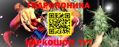 шишки Среднеуральск