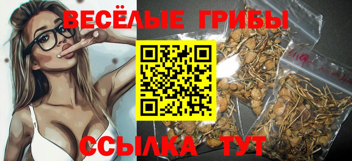 Галлюциногенные грибы Cubensis  Вход с VPN  Амурск 