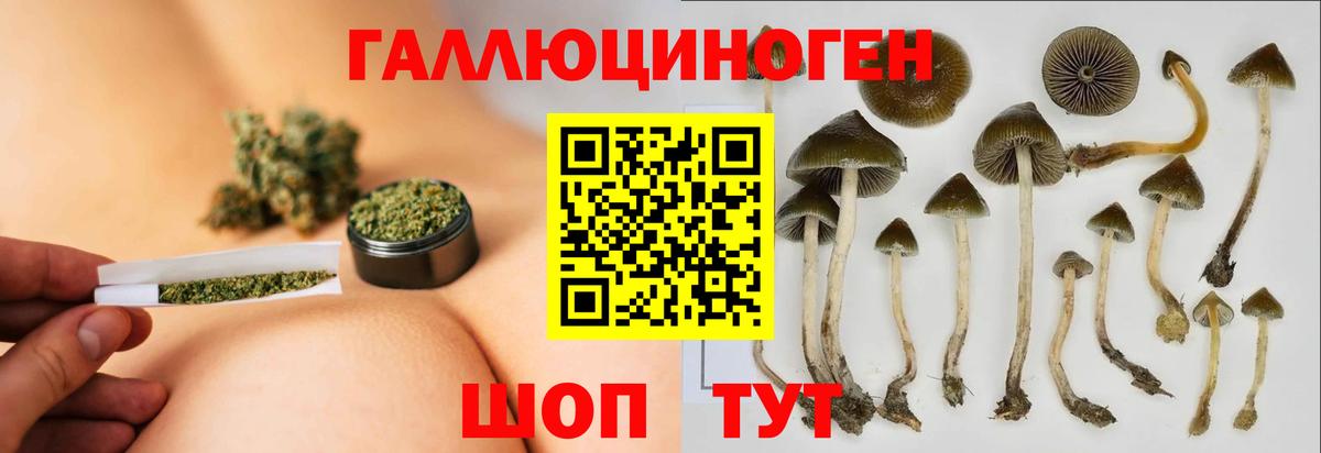 Галлюциногенные грибы Magic Shrooms Амурск